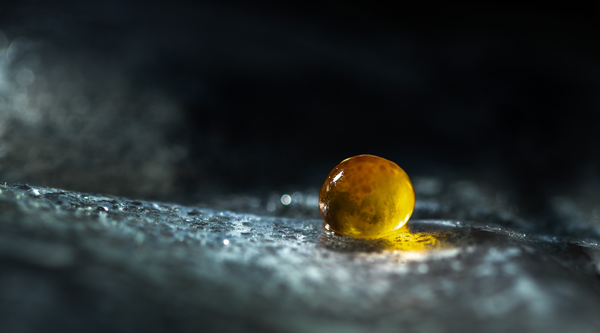 Caviar ekstrakt
