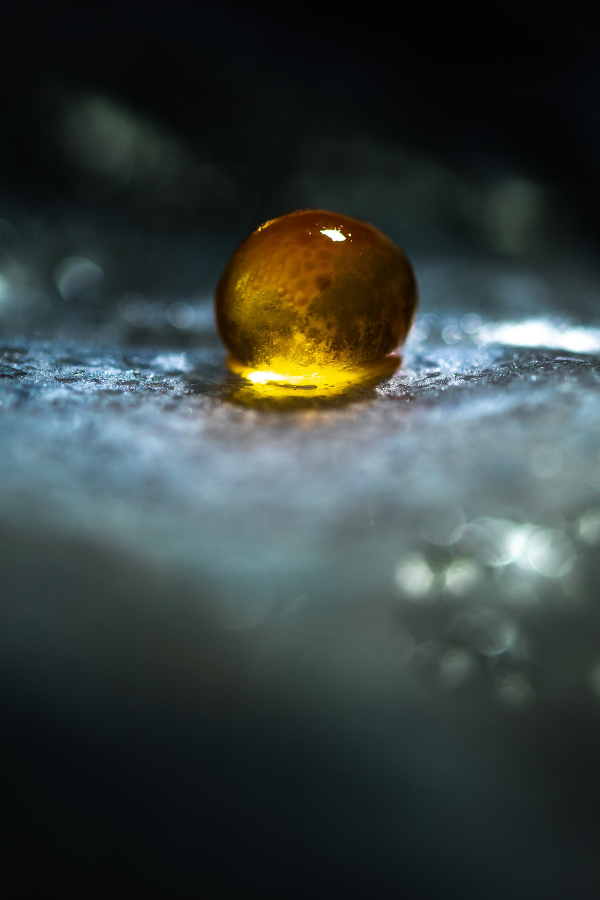 Norsk caviar ekstrakt — kjernen i hver formulering.