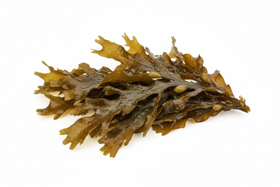 Tang